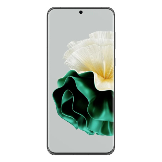 HUAWEI P60  8/256 ГБ Global Version Зеленый