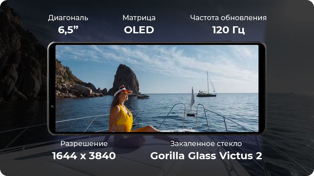 Sony Xperia 1 V 12/512Gb Черный Global Version