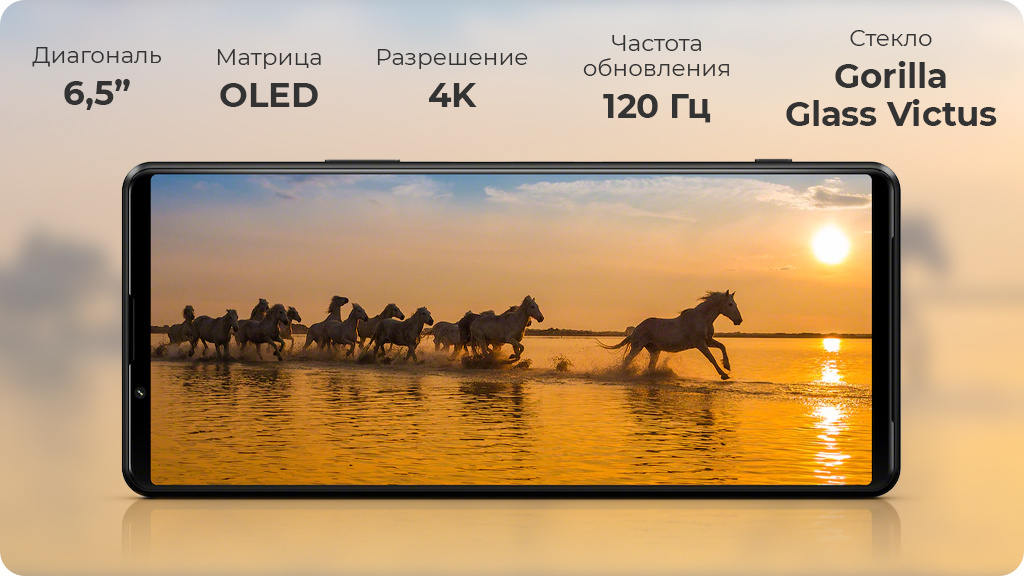 Sony Xperia 1 III 12/512Gb Серый